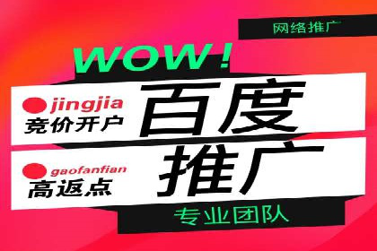百度广告推广技巧分享案例